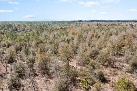 3270 Powerline Rd, Chipley, FL 32428 photo 8