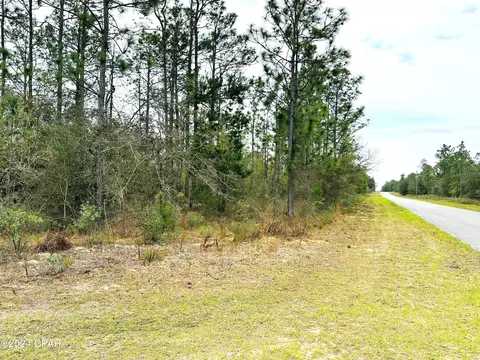 Nnn Gulliver Drive, Chipley, FL 32428