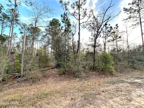 Nnn Plum Court, Marianna, FL 32448
