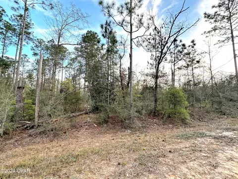 Nnn Plum Court, Marianna, FL 32448