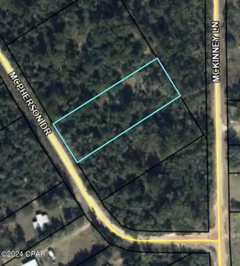 0 Mcpherson Dr, Alford, FL 32420