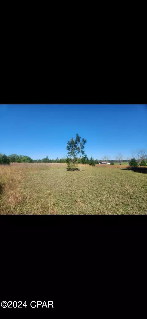 0 W Lewis Ln, Bonifay, FL 32425