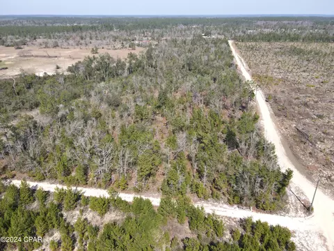 00 Baker Rd, Altha, FL 32421 photo 8