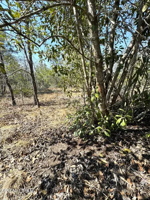 00 Baker Rd, Altha, FL 32421 photo 11