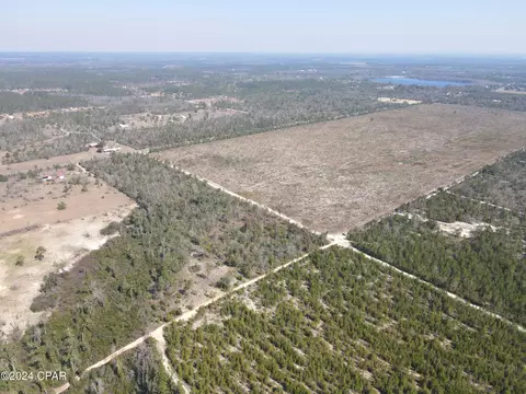 00 Baker Rd, Altha, FL 32421 photo 7