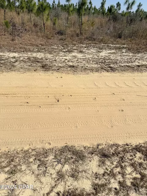 00 Baker Rd, Altha, FL 32421 photo 10