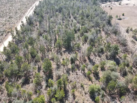 00 Baker Rd, Altha, FL 32421 photo 4
