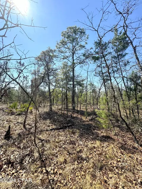 00 Baker Rd, Altha, FL 32421 photo 12