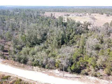 00 Baker Rd, Altha, FL 32421 photo 13