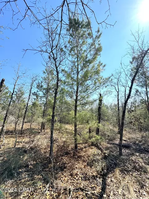 00 Baker Rd, Altha, FL 32421 photo 17