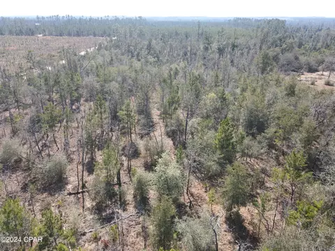 00 Baker Rd, Altha, FL 32421 photo 5