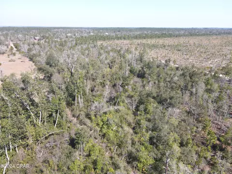 00 Baker Rd, Altha, FL 32421 photo 14