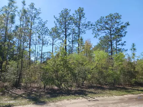 lot B-132 Fawn Pl, Chipley, FL 32428