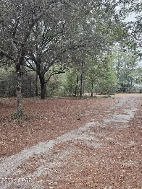 3333 Eagle Ct, Chipley, FL 32428 photo 2