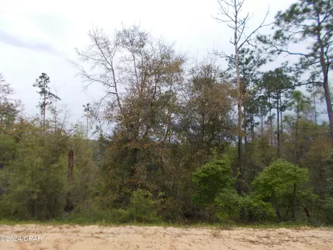 lot7 Castle Cir, Alford, FL 32420