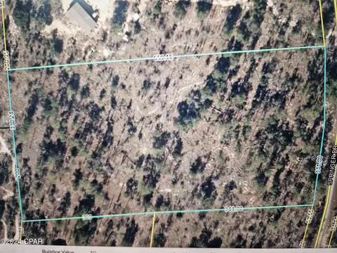 0 Springer Dr, Chipley, FL 32428