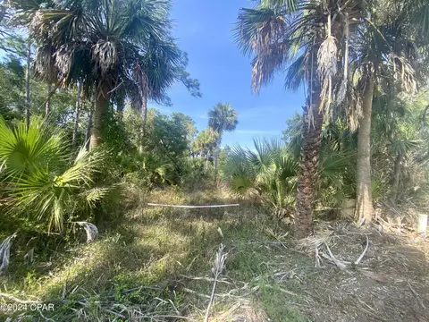 0 Indian Pass Rd, Port Saint Joe, FL 32456