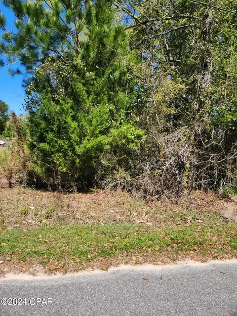 Nn NW Camelia Street, Bristol, FL 32321