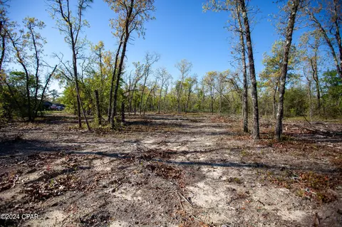 Lot 13 Pinder, Chipley, FL 32428 photo 6