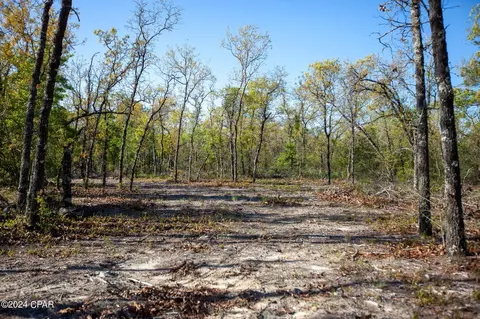 Lot 13 Pinder, Chipley, FL 32428 photo 5