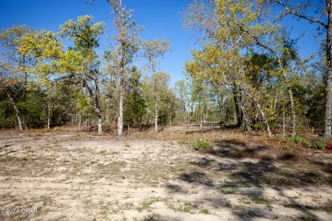 Lot 13 Pinder, Chipley, FL 32428 photo 3