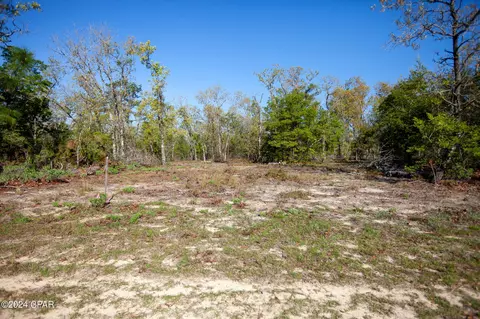 Lot 13 Pinder, Chipley, FL 32428 photo 2
