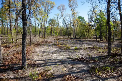 Lot 13 Pinder, Chipley, FL 32428 photo 7