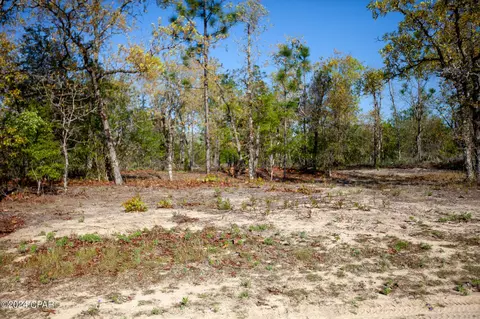 Lot 13 Pinder, Chipley, FL 32428 photo 4