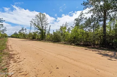 lot20 Lincoln Ave, Alford, FL 32420