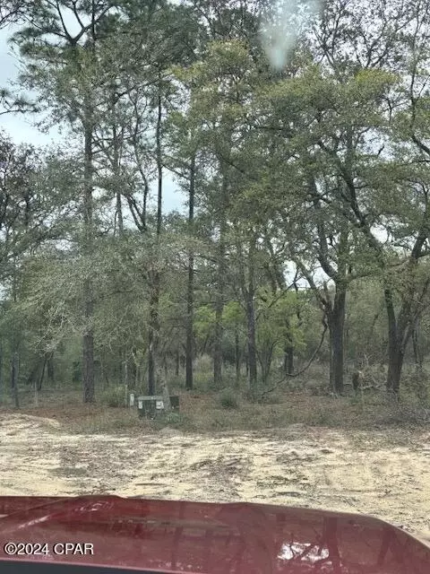 2992 Quentin Ln, Chipley, FL 32428 photo 3