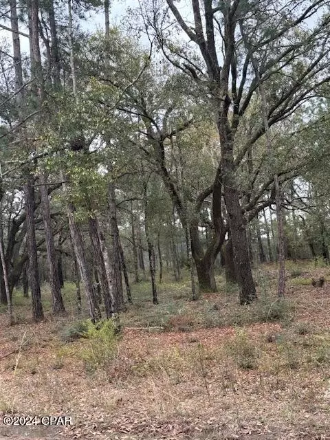 2992 Quentin Ln, Chipley, FL 32428