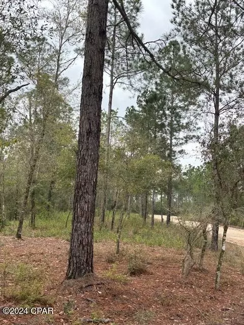 2992 Quentin Ln, Chipley, FL 32428 photo 4