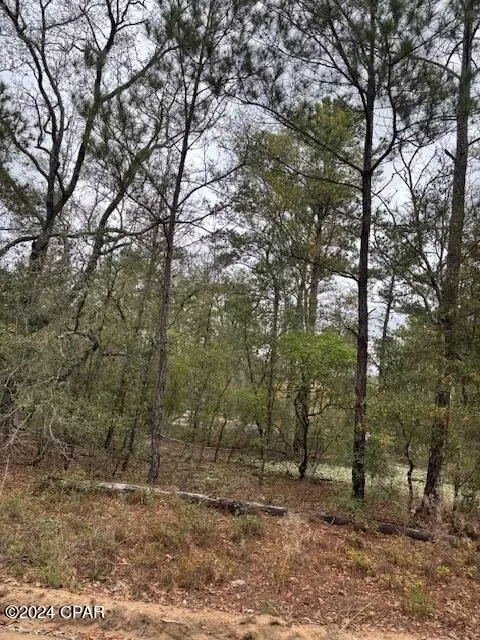 10 Monique Ln, Chipley, FL 32428