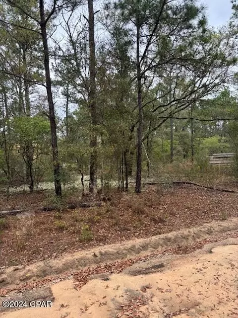 10 Monique Ln, Chipley, FL 32428 photo 2
