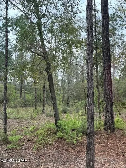 10 Monique Ln, Chipley, FL 32428 photo 4