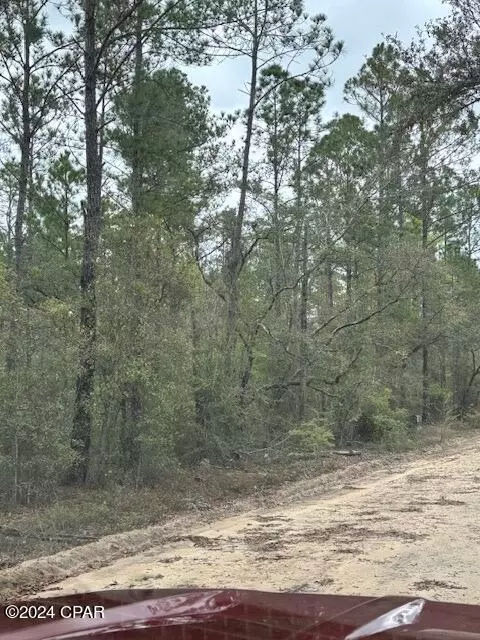 10 Monique Ln, Chipley, FL 32428 photo 3