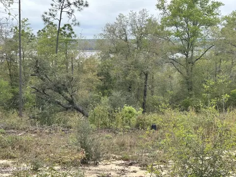980 Landing, Chipley, FL 32428 photo 1