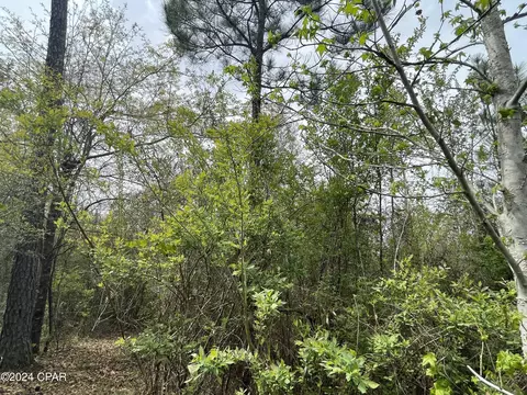2437 Gilberts Mill Rd, Chipley, FL 32428 photo 7