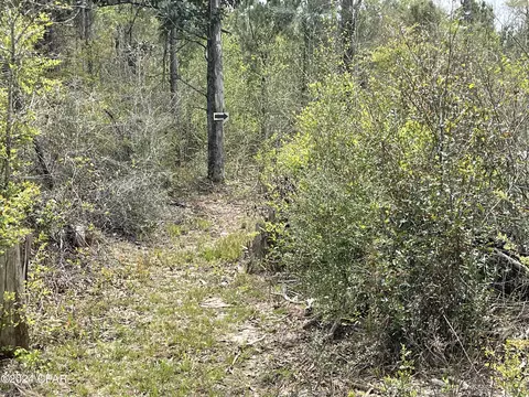 2437 Gilberts Mill Rd, Chipley, FL 32428 photo 6