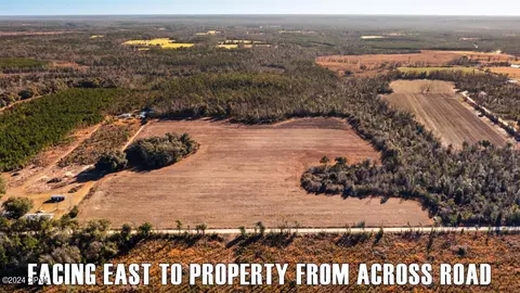 0 Treeline Rd, Grand Ridge, FL 32442