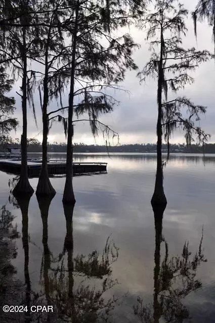lot16 Nicolet St, Alford, FL 32420