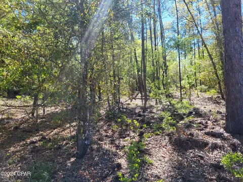 00 Koskiusko Dr, Alford, FL 32420