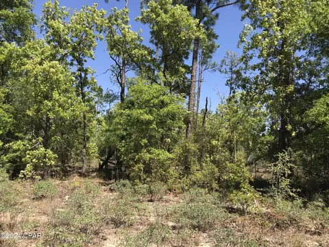 00 Wheeler Ln, Chipley, FL 32428