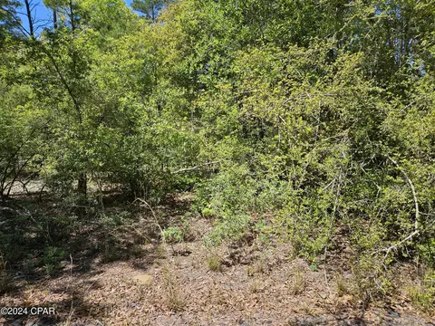 0000 Fox Ct, Chipley, FL 32428