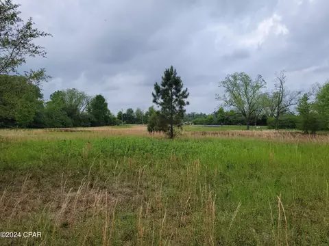 5319 8th Ave, Malone, FL 32445 photo 3