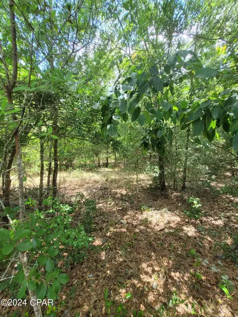 000 Pembrook Dr, Chipley, FL 32428