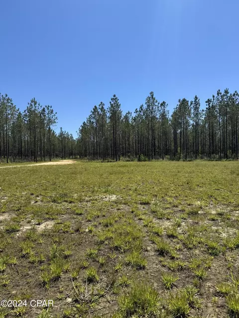 1530 Old Bonifay Rd, Chipley, FL 32428