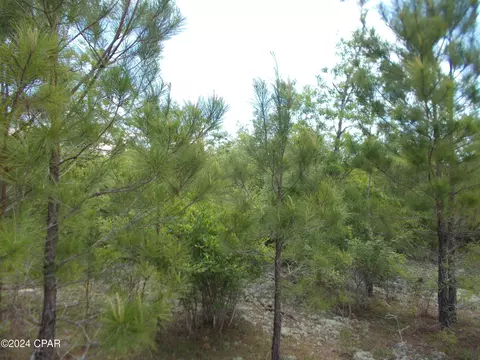 1 Ac Parrot Bay Dr, Alford, FL 32420