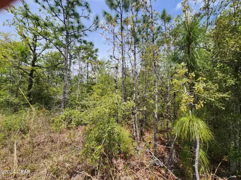 Nn Center Lake Road, Fountain, FL 32438