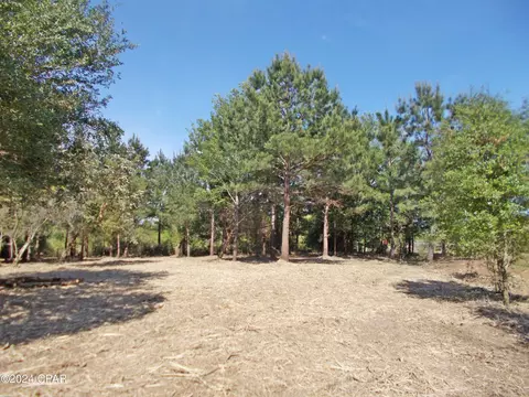 1 Ac Mcpherson Dr, Alford, FL 32420